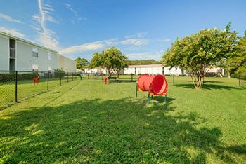 Dog park